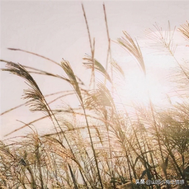 怎样让自己变得更成熟,希望自己成熟稳重句子