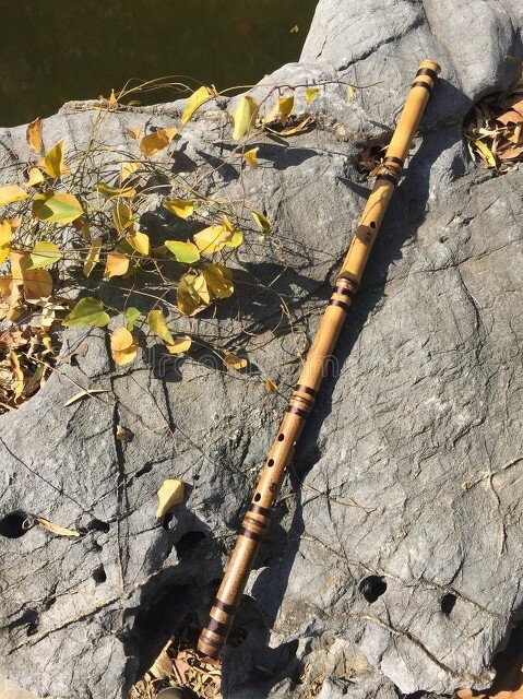 你知道有哪些传统文化,你知道哪些乐器的名称