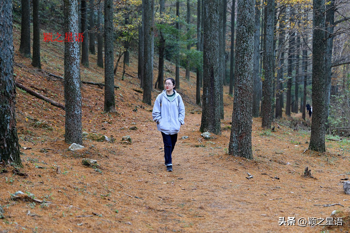 宁波黄金谷景区,宁波黄金谷