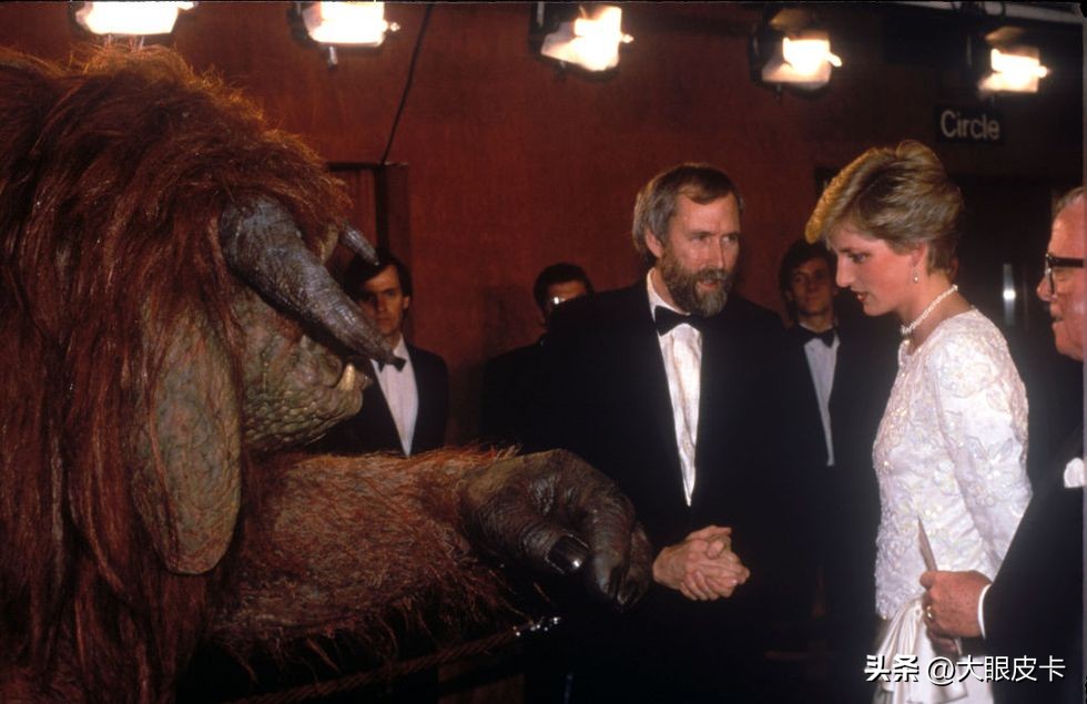 戴安娜王妃最美的十张照片,戴安娜年轻时的照片