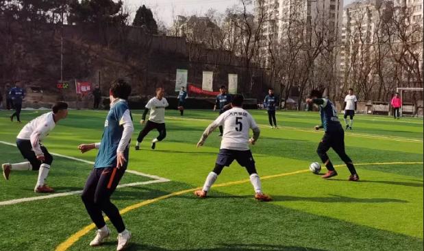 青岛贺岁杯足球赛,淄博华光国瓷杯金鱼大赛