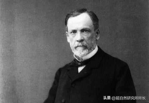 被狗咬了太可怕,被狗咬了才知道疼