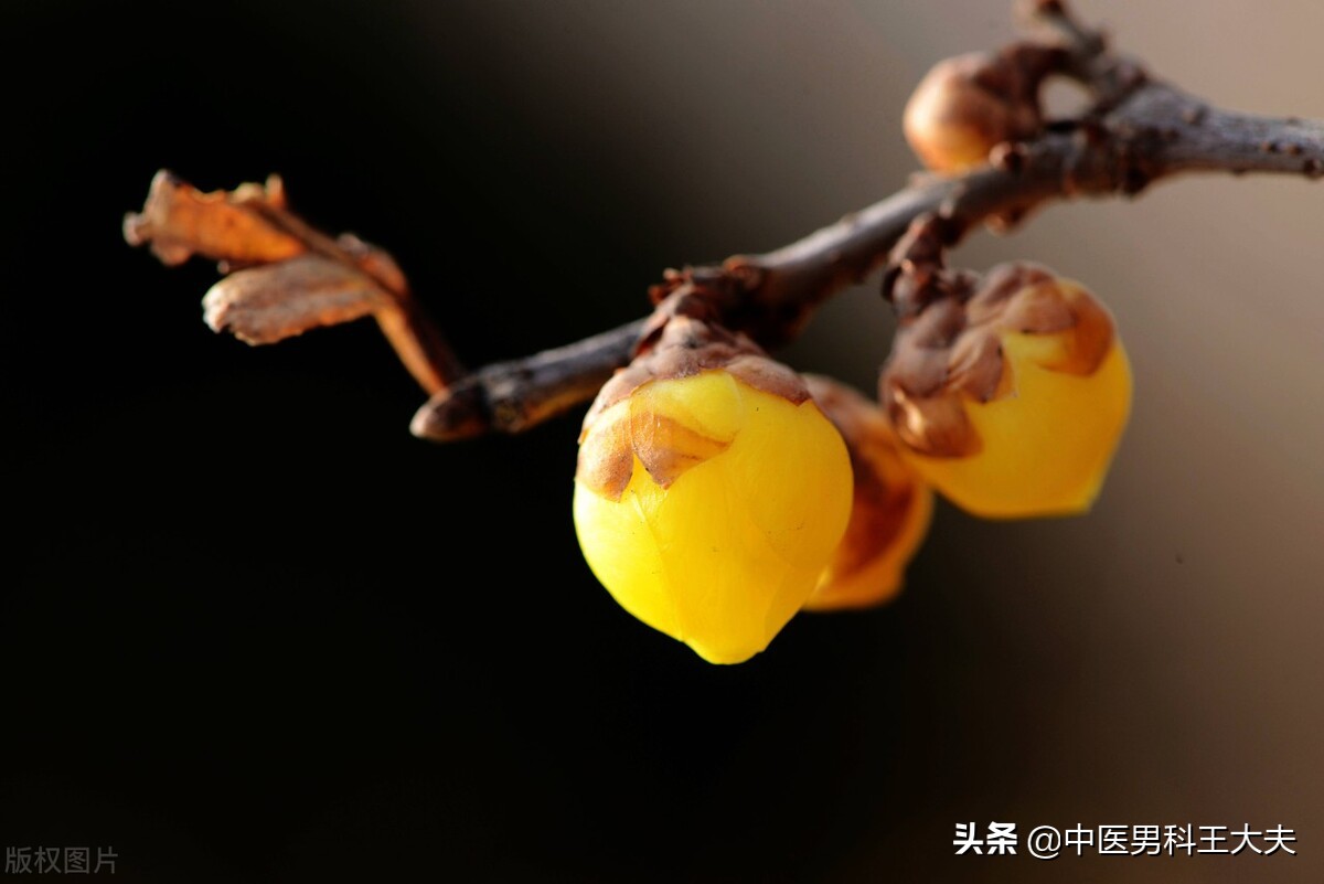 伤精气虚怎么办,伤精虚劳怎么调理