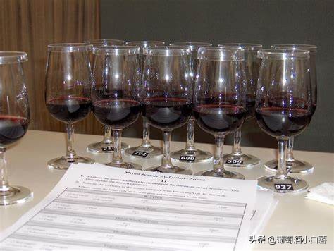 葡萄酒和红酒哪个好喝,红酒知识大全葡萄酒基本知识普及