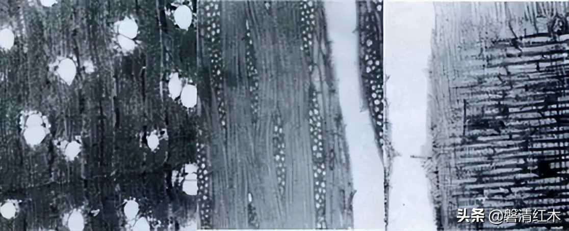 海南黄花梨和小叶紫檀对比,黄花梨与白酸枝鉴别图片及价格