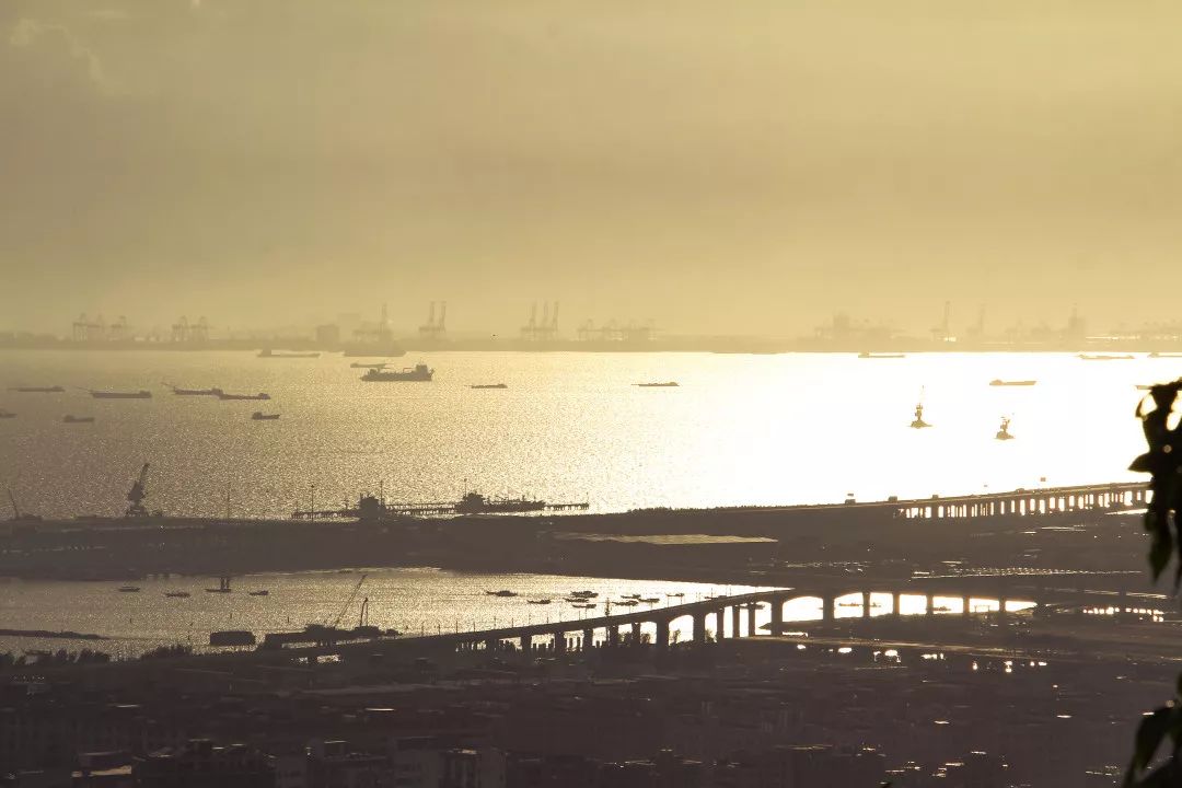 深圳10条入门登山线路推荐,深圳十大山峰最新登山攻略