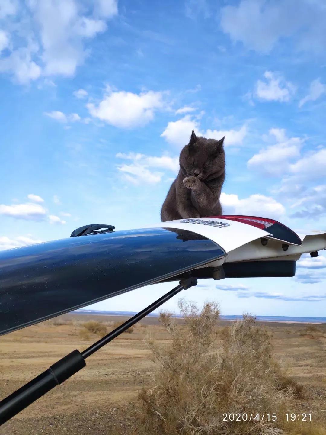 去戈壁捡石头,新疆戈壁捡石头