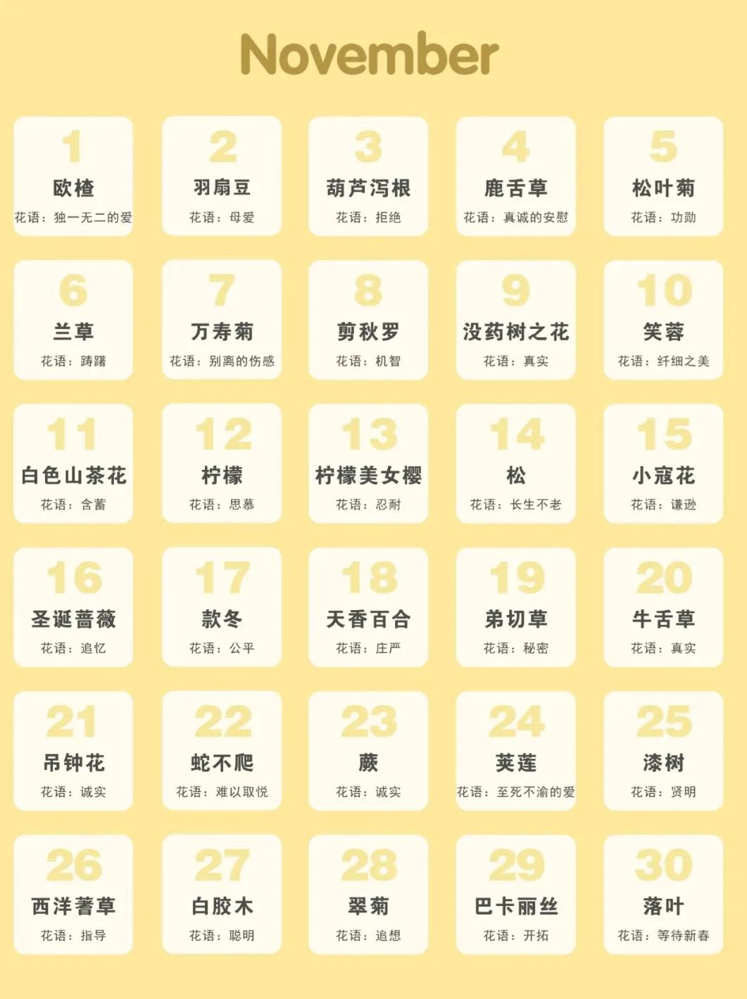 365生日花语大全,关于生日的花的花语
