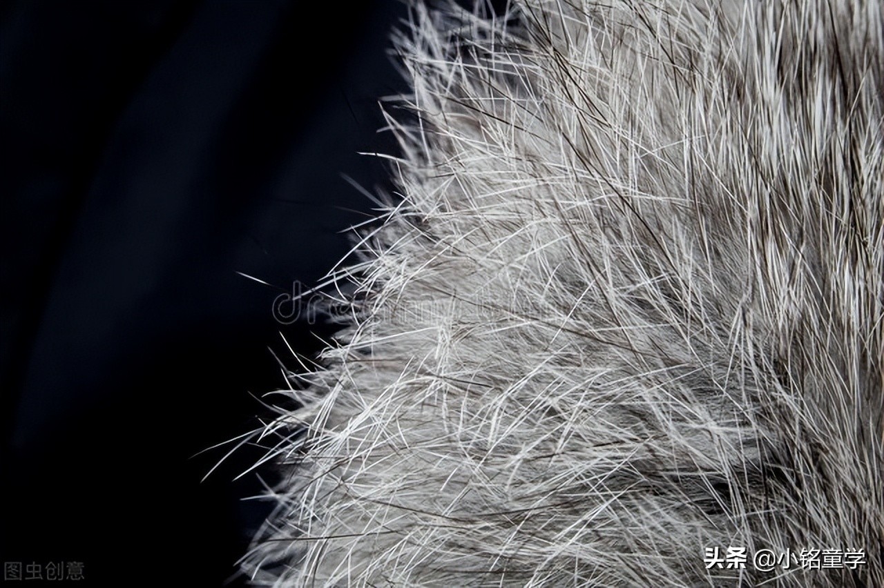 棉麻丝毛哪个面料最娇嫩,棉麻面料的洗护