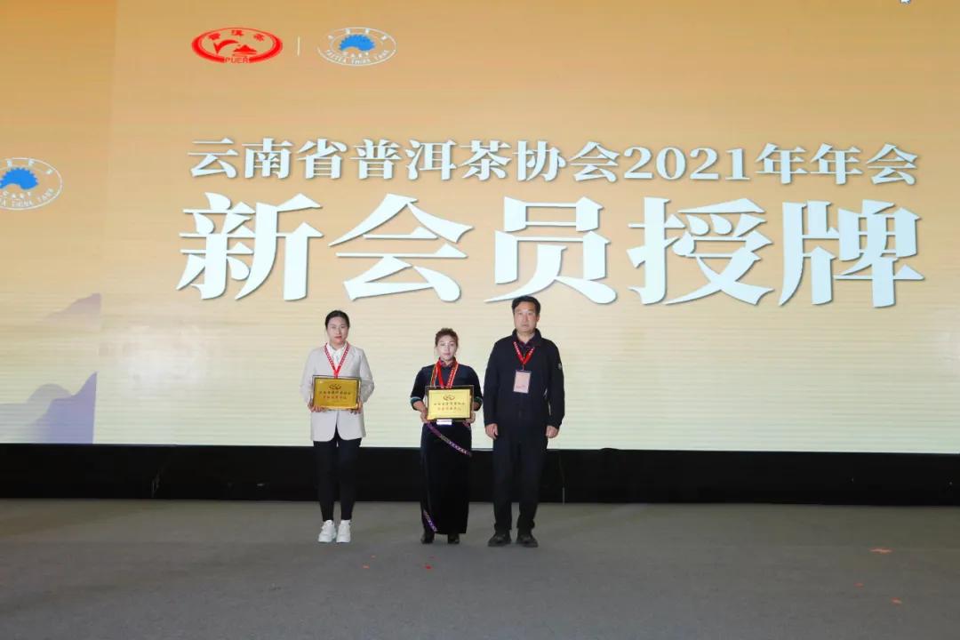 普洱茶产业高峰论坛发言,普洱茶行业的现状及未来发展趋势