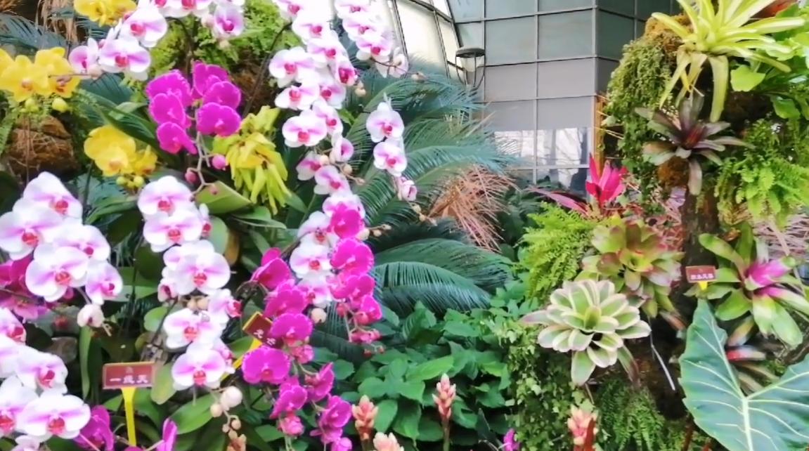 郑州有哪些值得游玩的景点推荐,郑州值得去的旅游景点有哪些