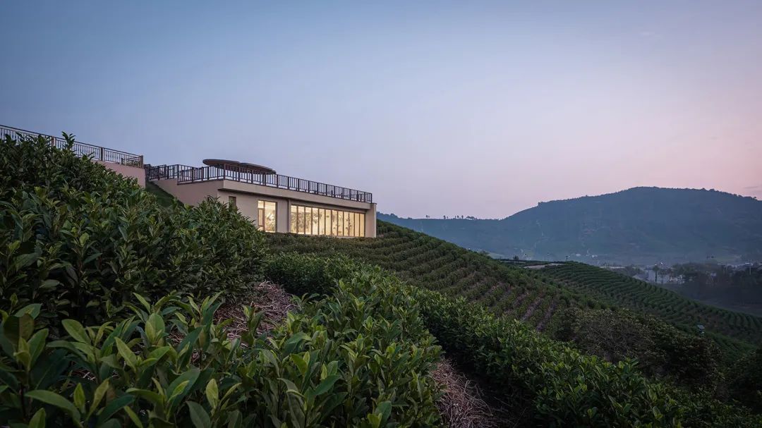 中国茶申遗成功吗,中国茶申遗成功44项名单