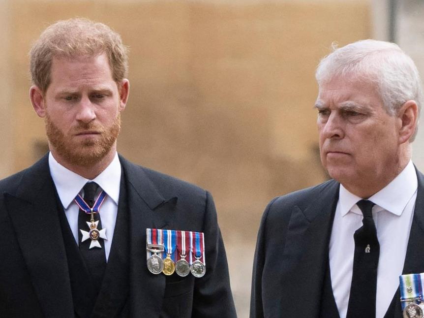 哈里王子安德鲁 (哈里王子和安德鲁)