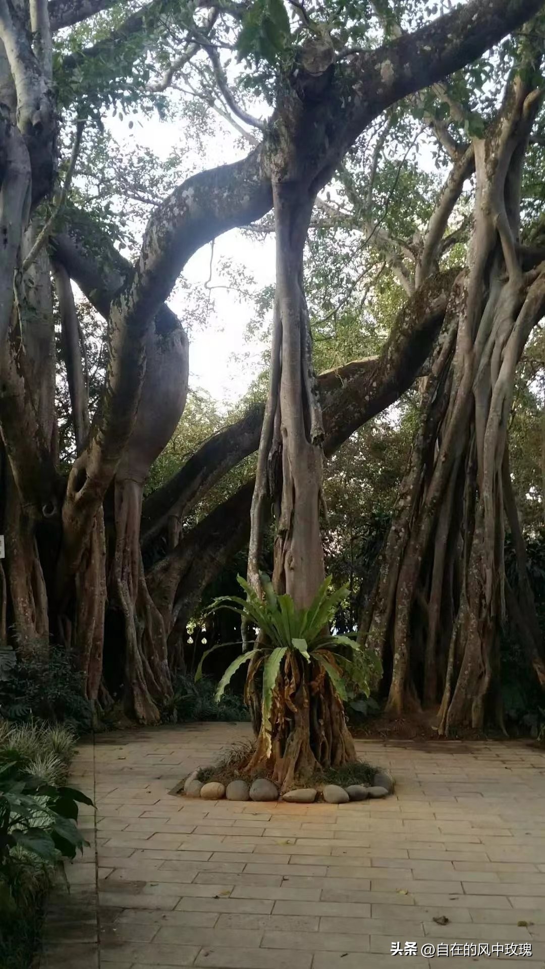 昆明腾冲瑞丽芒市六日游,腾冲瑞丽芒市旅游安全吗