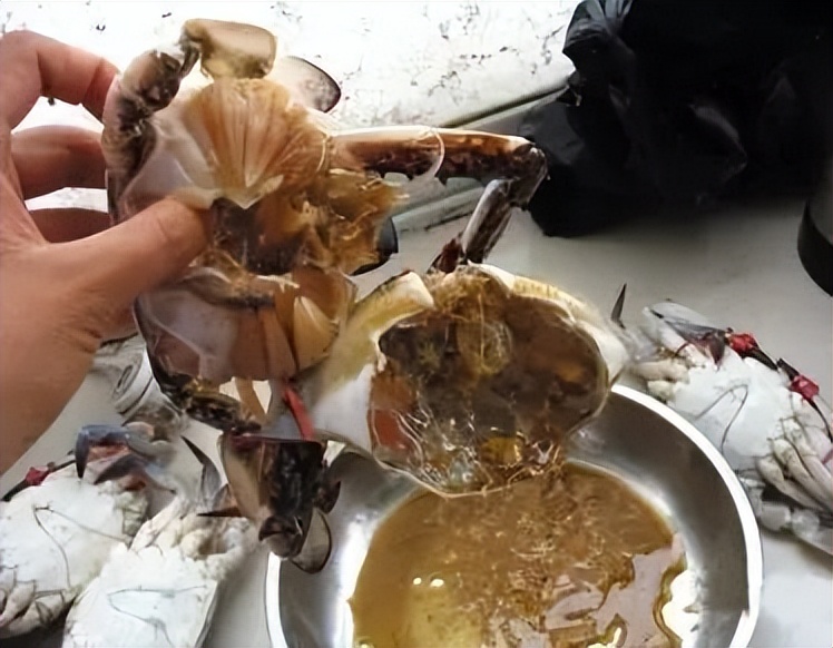 鲭鱼是发物吗能吃吗,鲭鱼有什么危害