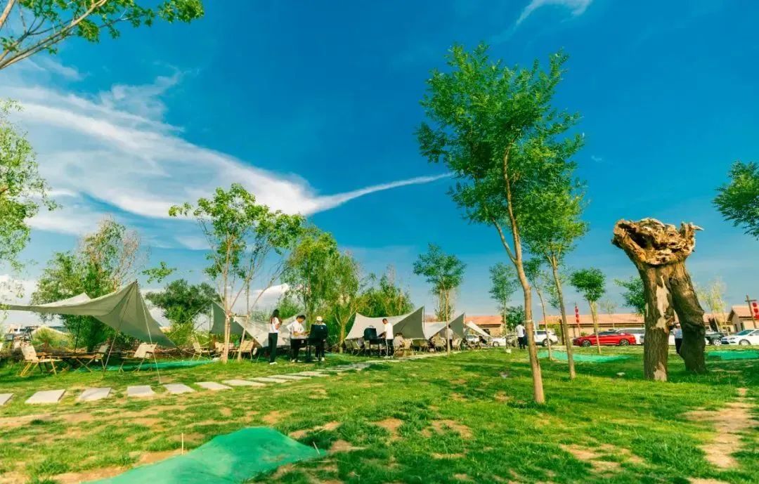 榄呭姏姒嗕腑瀹炲姏姒嗕腑,榄呭姏姒嗕腑缇庢櫙