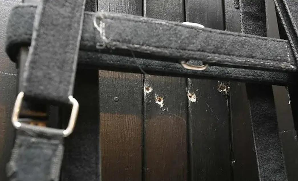 死刑犯枪决三枪没有打死怎么办,死刑犯打九枪没死的案例