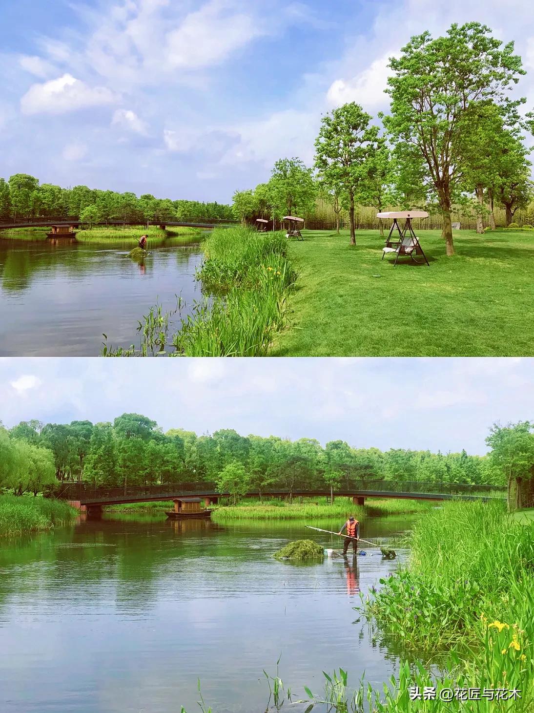 养云安缦上海云乡星愿,养云安缦·发现之旅·奔赴春天