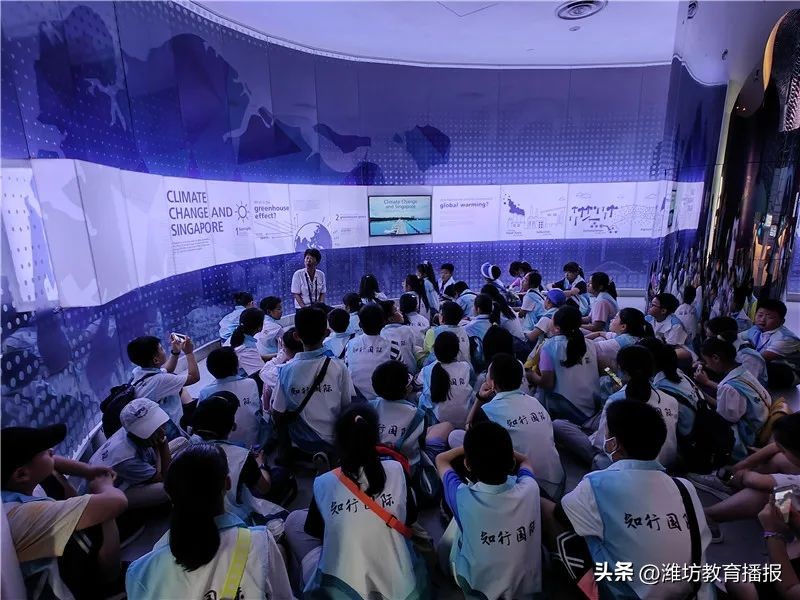 潍坊中新双语好进吗,潍坊中新双语校园