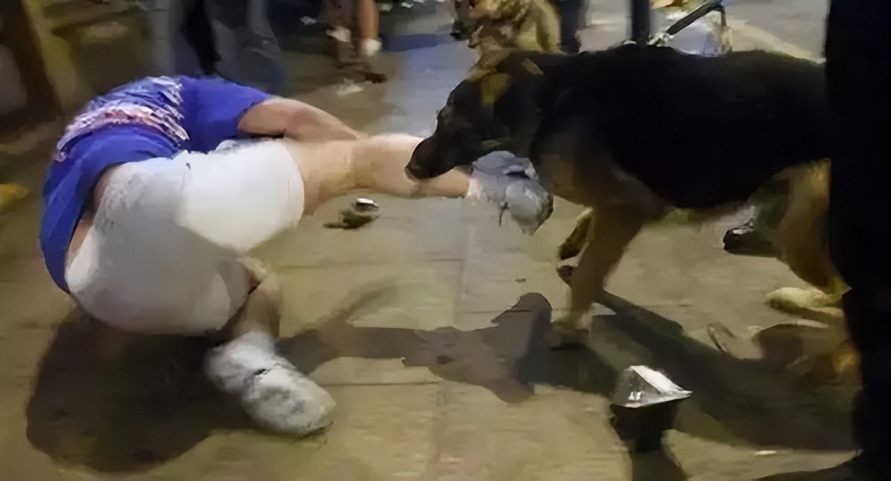 小区野狗咬人谁负责,小区野狗咬了人谁担责任