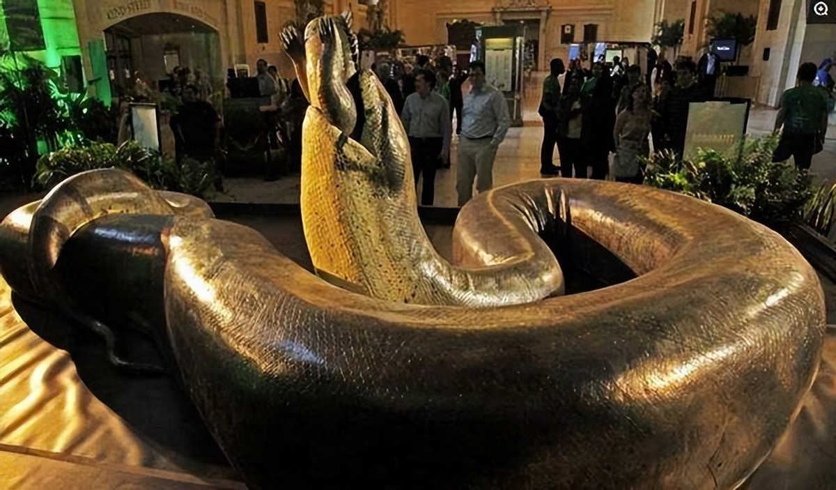 泰坦蟒是不是泰坦巨蛇,纪录片巨蛇之谜泰坦蟒