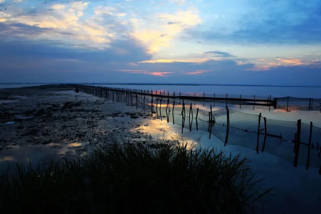 阳澄湖大闸蟹到底有没有那么多,阳澄湖大闸蟹几个档次