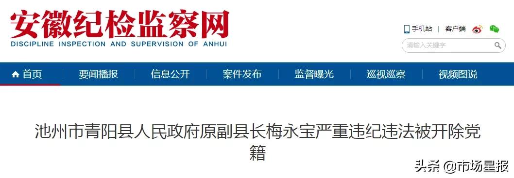 安徽4名干部同日宣布被查,安徽一干部被查两名干部被处分