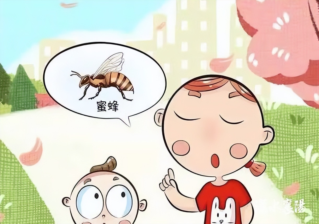 第1健康丨被“勤劳园丁”蜇伤，牢记4个急救原则