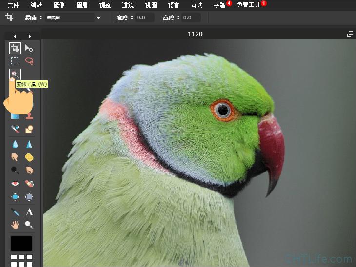 去除照片背景杂物软件,照片打印怎么去除背景