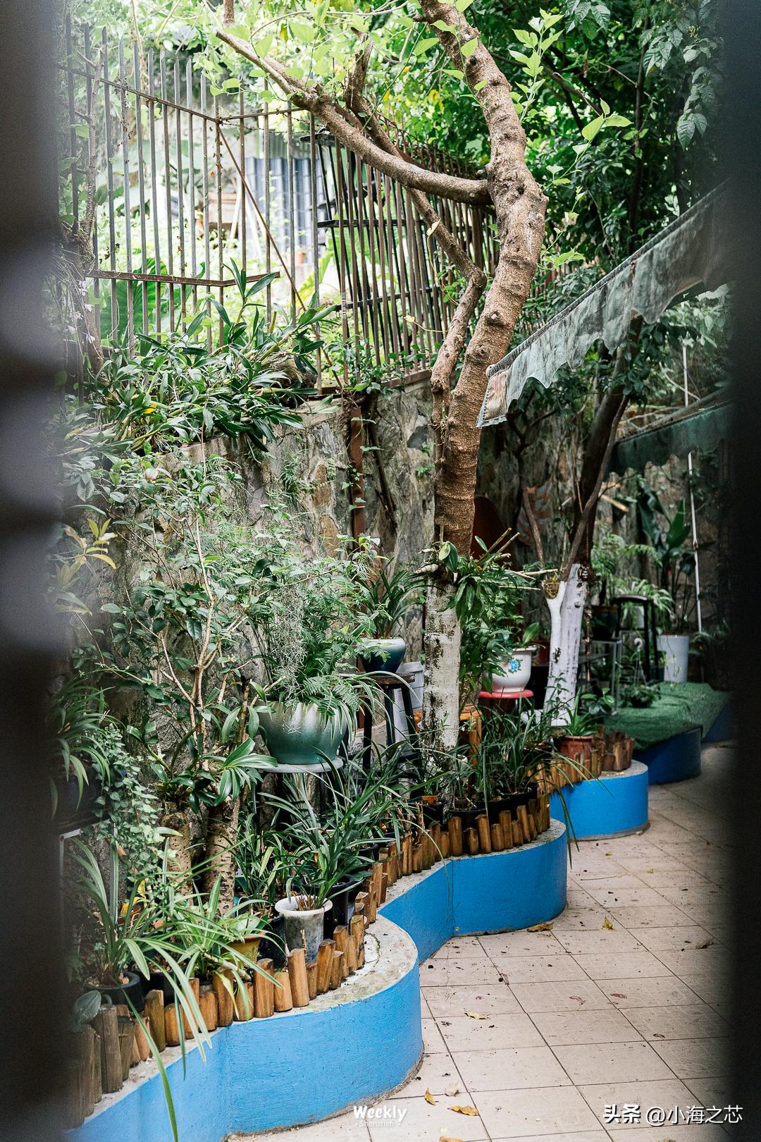 深圳青年旅社最多可以免费住几天,深圳男女混住的青年旅社