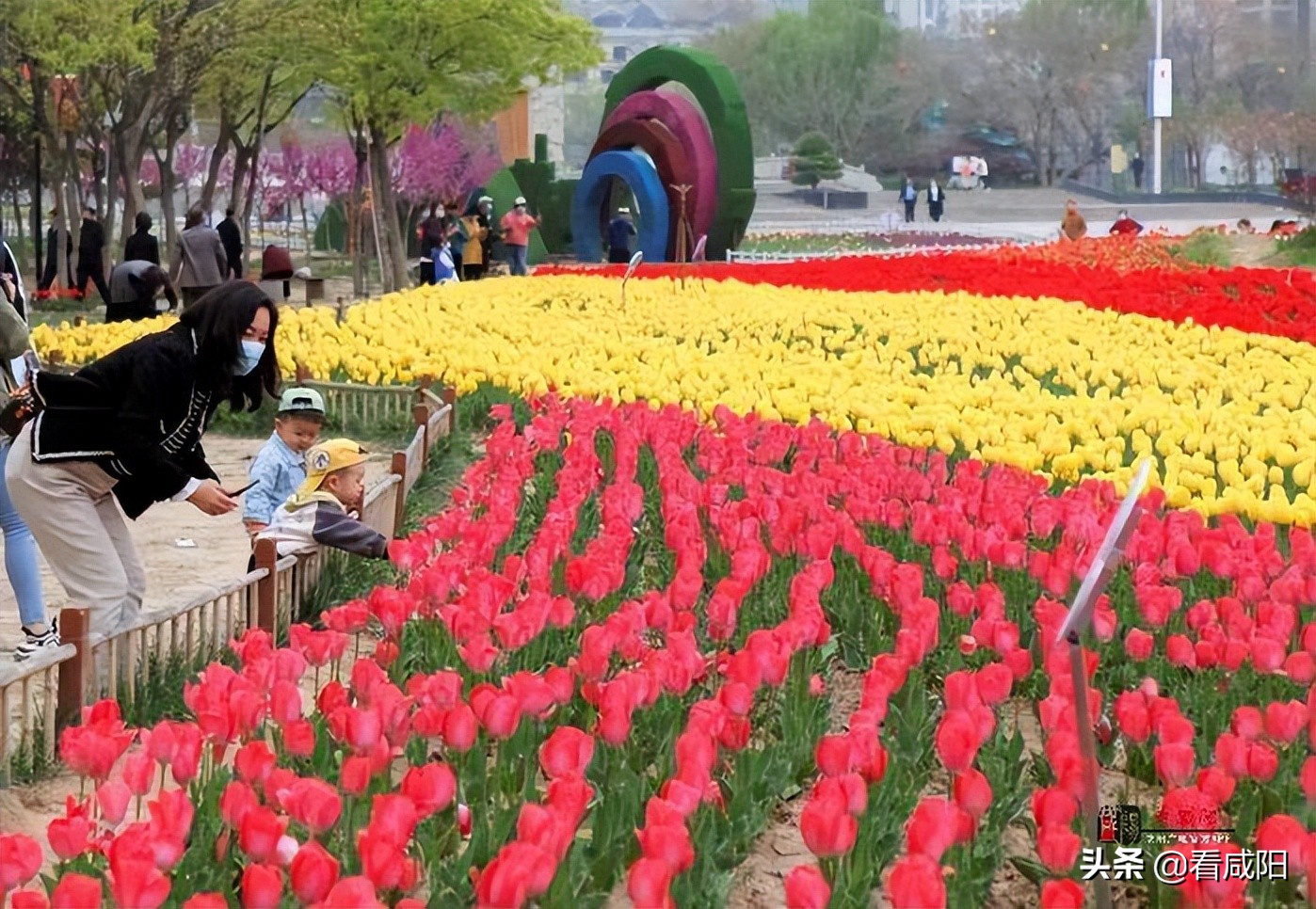 大美咸阳湖景区,大美咸阳