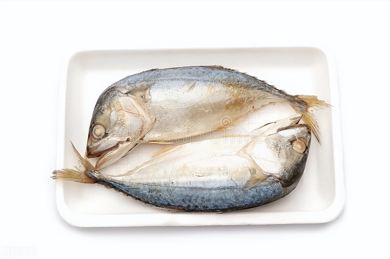 要吃鱼的观赏鱼,无人工养殖的野生鱼有哪些