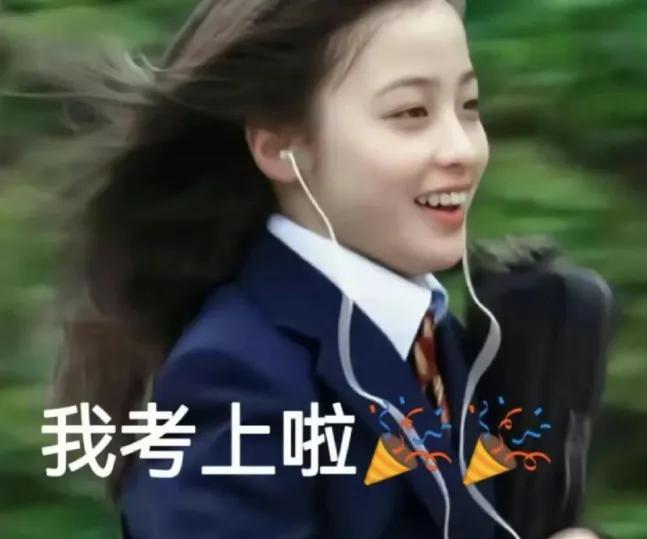 选调生公务员备考资料,内蒙古选调生备考资料