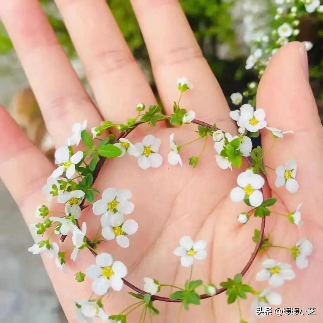 名副其实意思是什么,五一劳动节名副其实劳动的一天