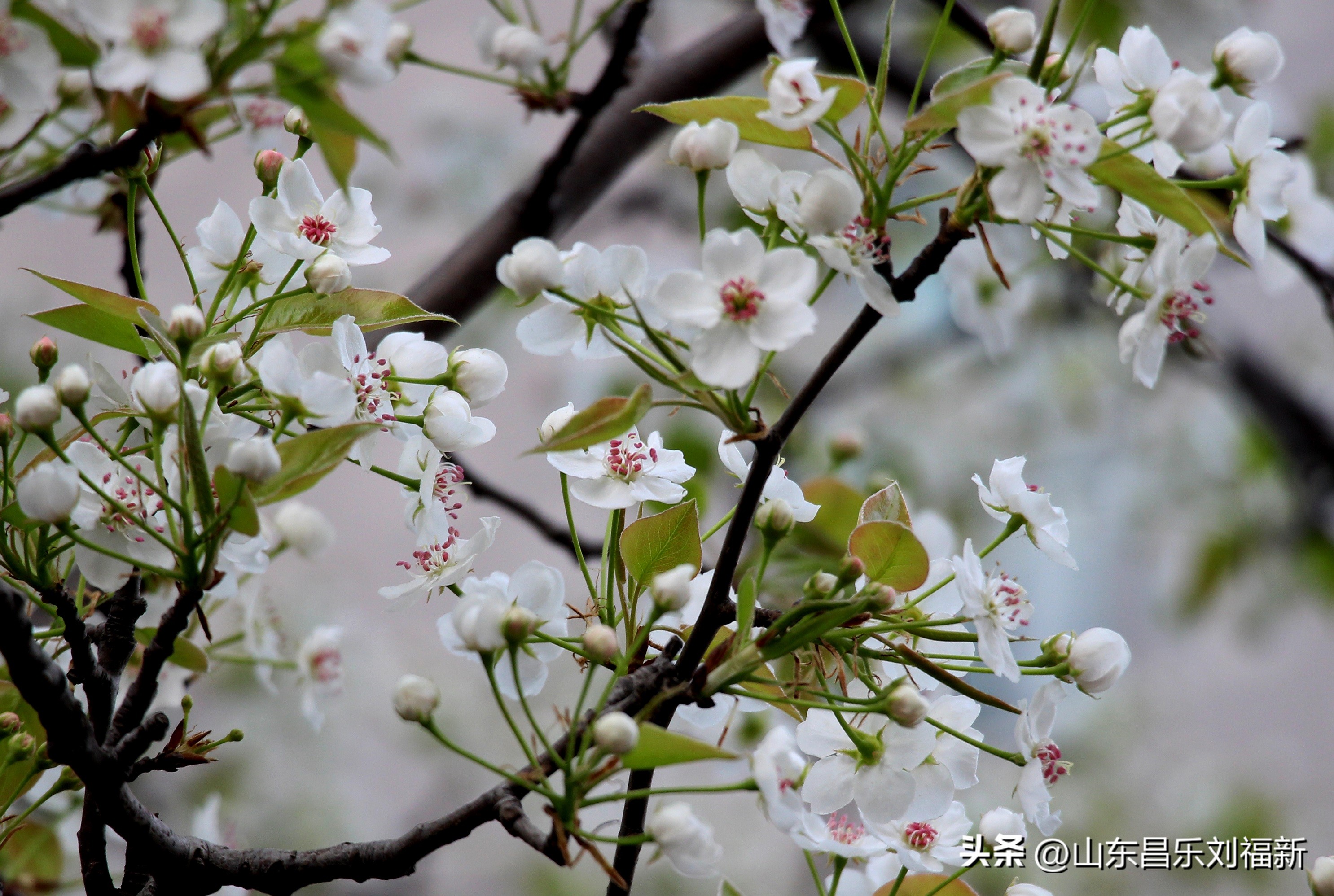 2023年3月中旬散拍·一点儿感受