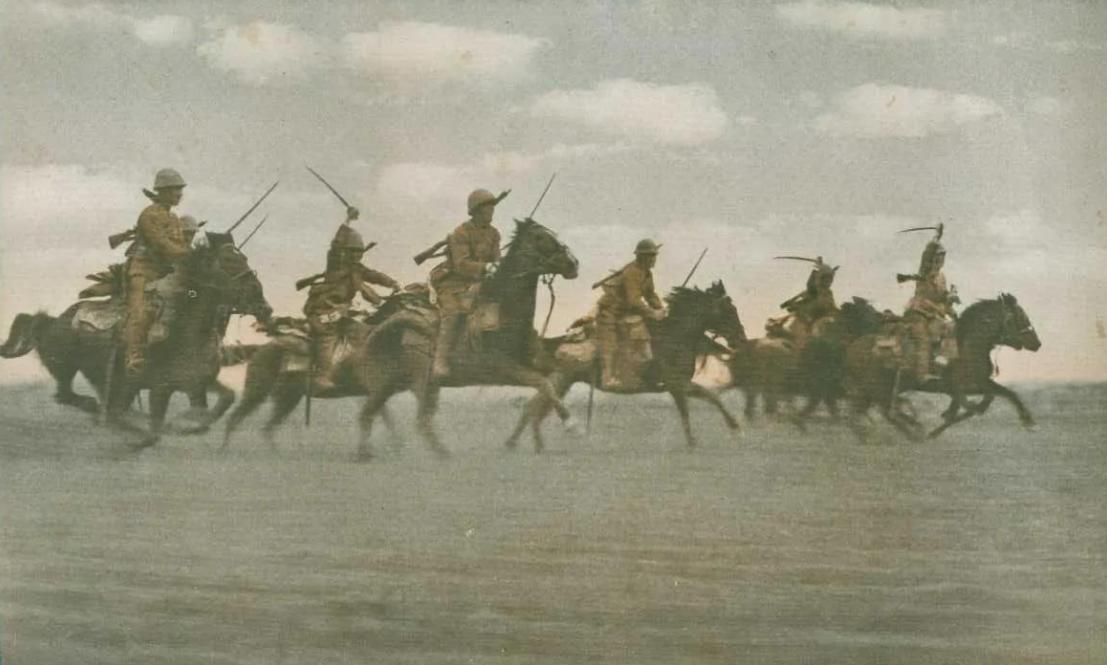 一人一匹都难管,将军见了爱不释手,二战日本战马到底有何特别?