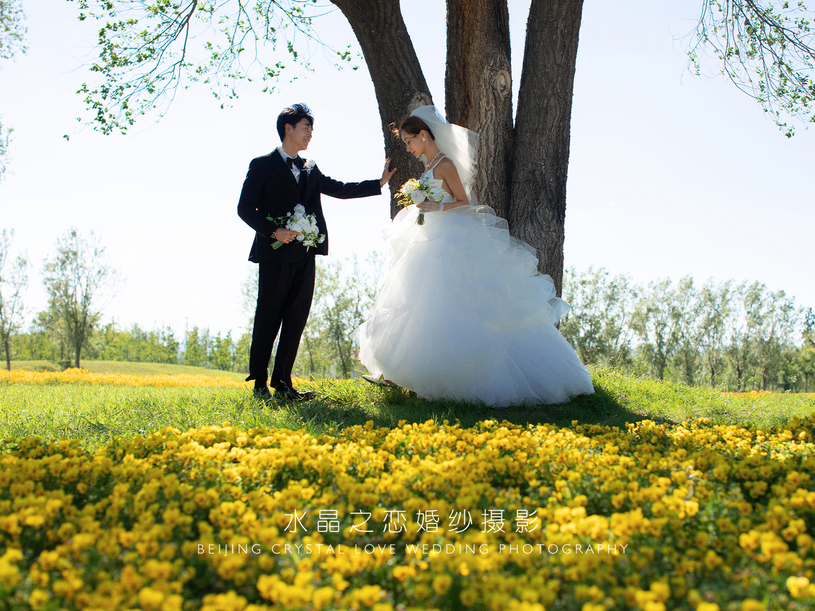 ins风森系婚纱照草坪六宫格图片,森系草坪婚纱照拍摄技巧