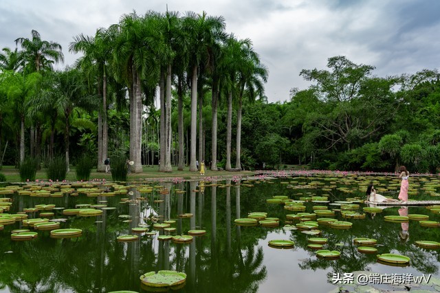 云南周边旅游景点推荐自驾游,2022云南旅游景点攻略自由行
