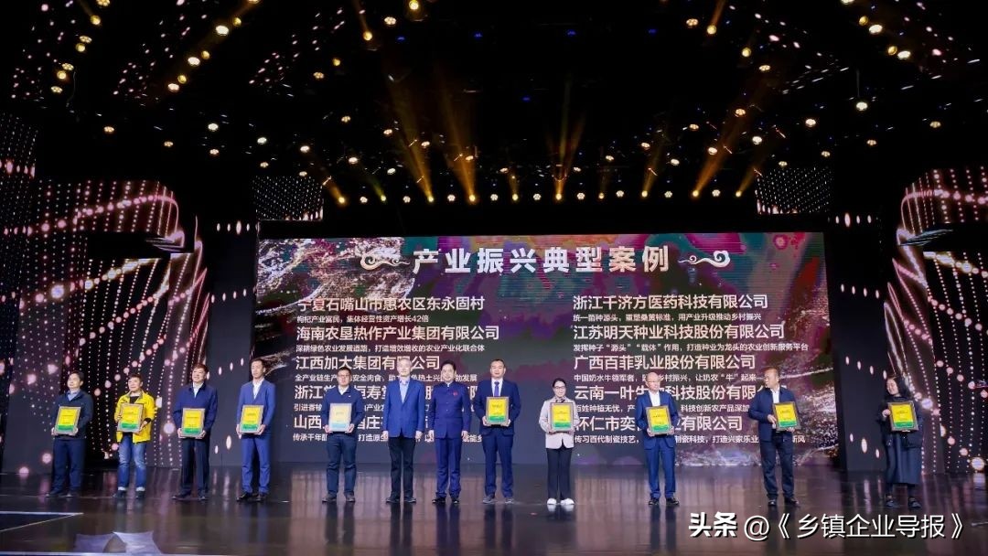 乡村振兴赋能计划人才典型案例,乡村振兴之文化振兴案例