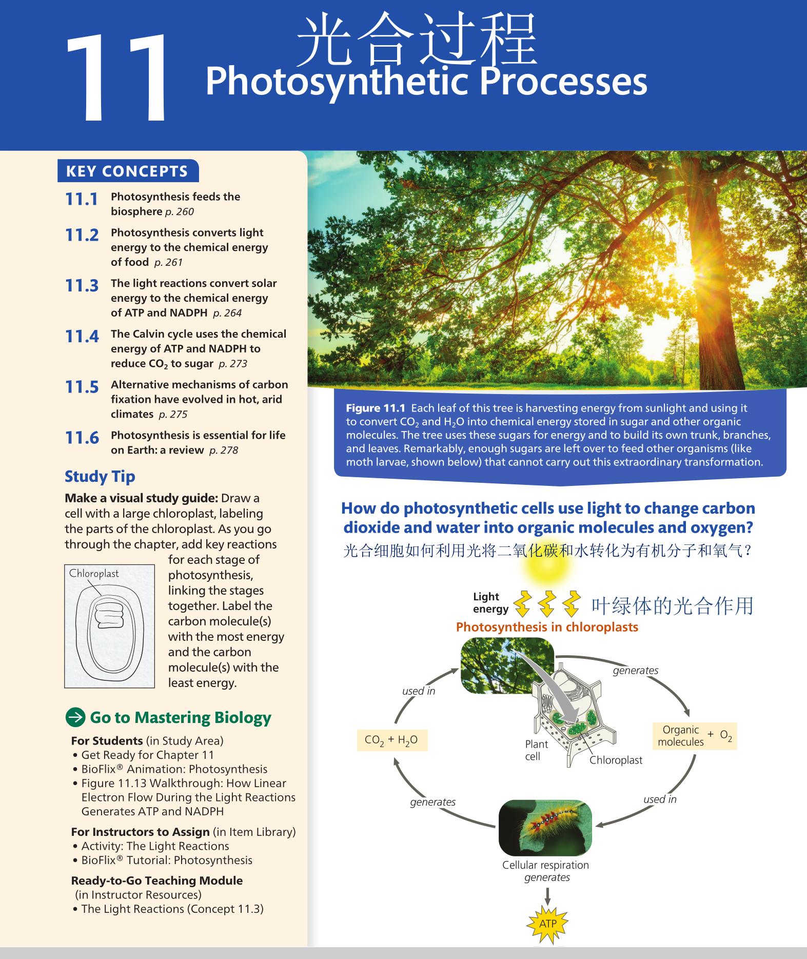 听歌学英语巧妙记单词,小学英语听力速记单词方法