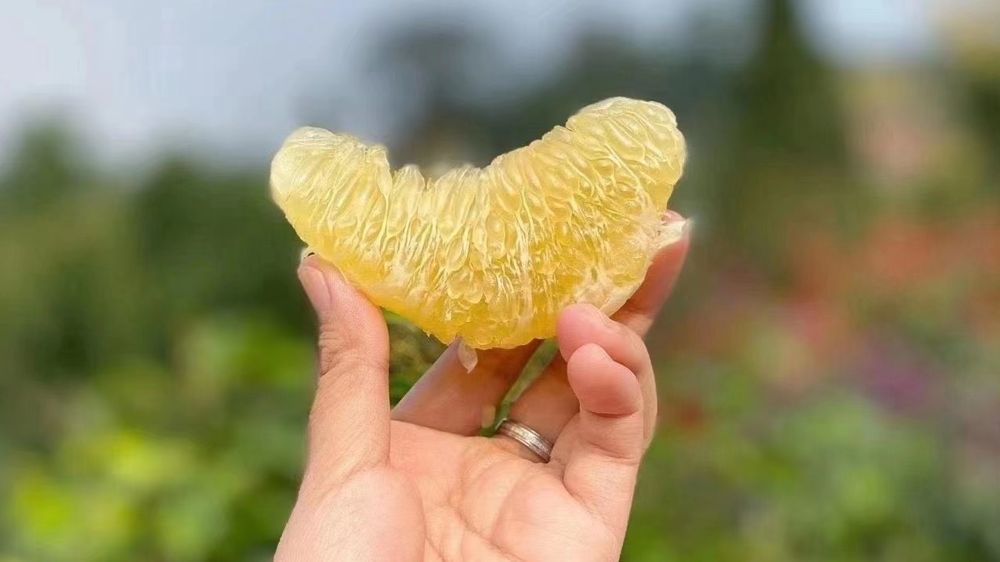 现在大型水果店的前景如何,水果店的前景与优势