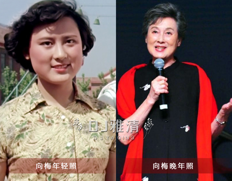 上影厂18位美男今昔对比,上影厂老照片