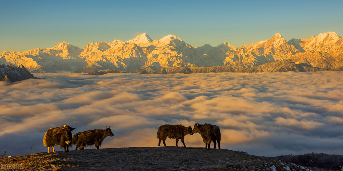 12月牛背山全程详细攻略,牛背山全程详解