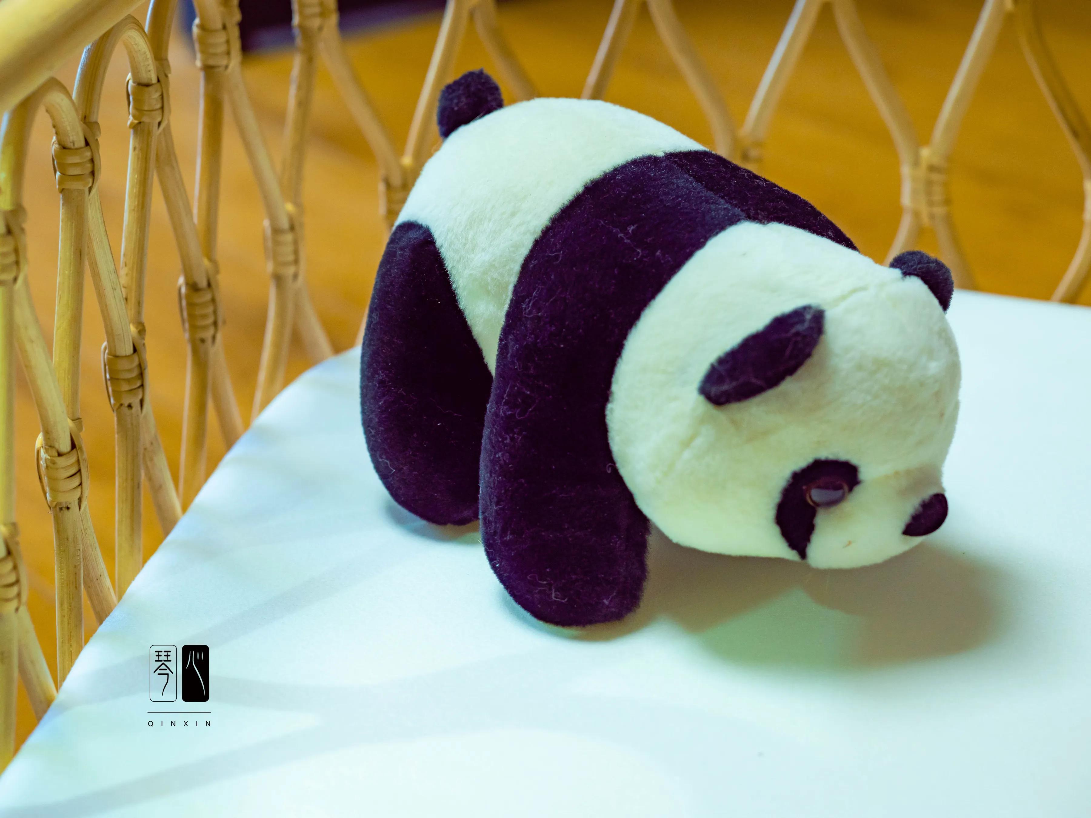 猫生快乐🎂❤️👻－昔爷一岁啦