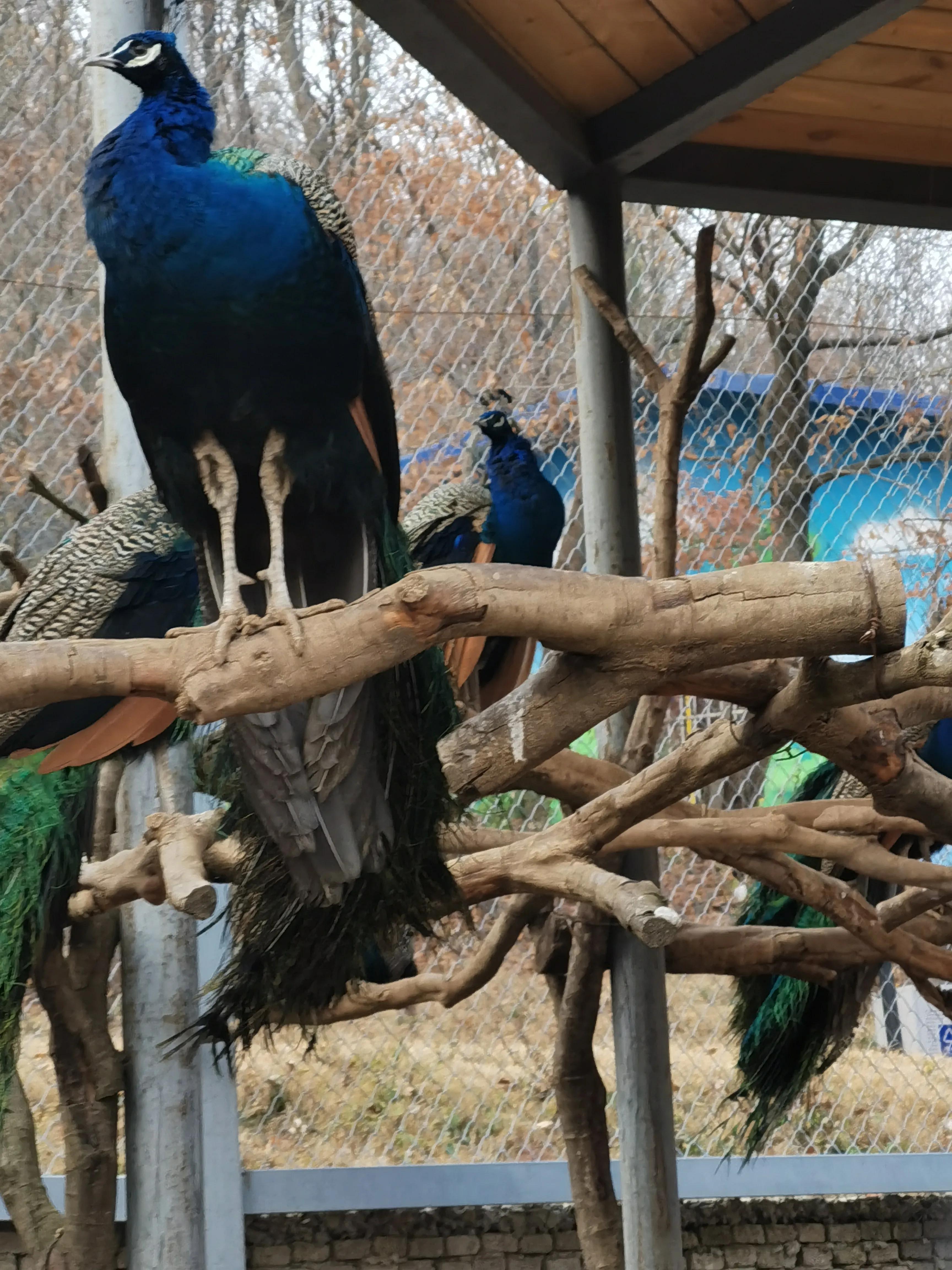 大洪山西游记公园攻略,大洪山西游记公园门票预订