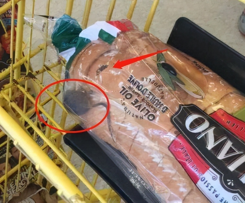 新春防老鼠，安心过大年