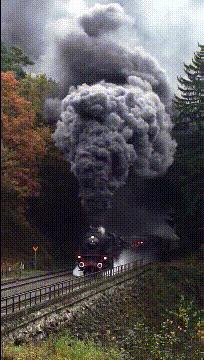 神回复：把大众车标扣下来清灰，里面藏了一个圆球，这是个啥？