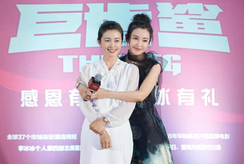 李冰冰姐妹花在娱乐圈打拼靠什么,十对明星姐妹