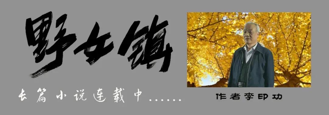 野女镇完整版长篇故事,野女镇第九十五章