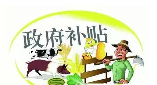 农村补贴不是户主一卡通可以领吗,农民补贴一卡通政策哪年开始的